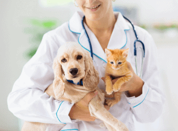 Pet Insurance